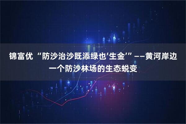锦富优 “防沙治沙既添绿也‘生金’”——黄河岸边一个防沙林场的生态蜕变