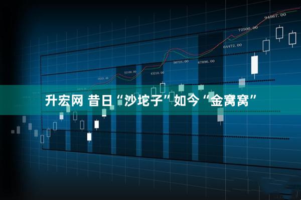 升宏网 昔日“沙坨子”如今“金窝窝”