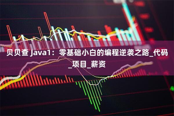 贝贝查 Java1:零基础小白的编程逆袭之路_代码_项目_薪资