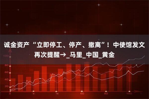 诚金资产 “立即停工、停产、撤离”！中使馆发文再次提醒→_马里_中国_黄金