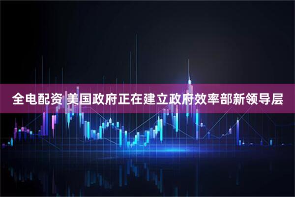 全电配资 美国政府正在建立政府效率部新领导层