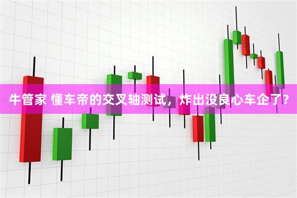 牛管家 懂车帝的交叉轴测试，炸出没良心车企了？