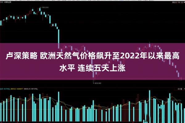 卢深策略 欧洲天然气价格飙升至2022年以来最高水平 连续五天上涨